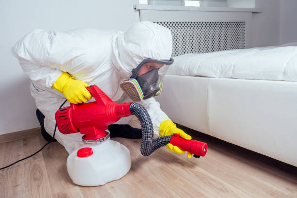 Best Mosquito Control Services  in Caribou, ME